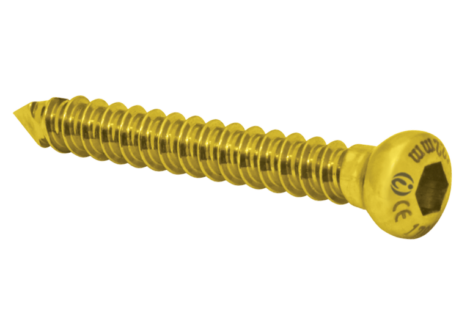 bone-screw-01